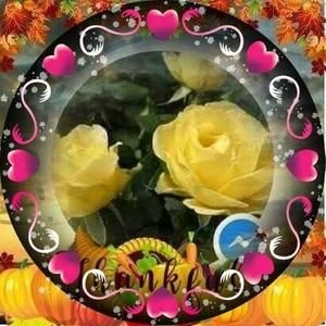 Meet your Posher, Jane